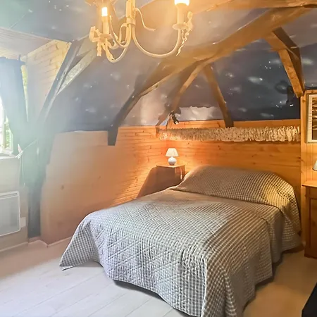 Maison Auvergnate A Cote De Salers - 4 - Parking, Garage - Jardin - Salle De Jeux * Drugeac